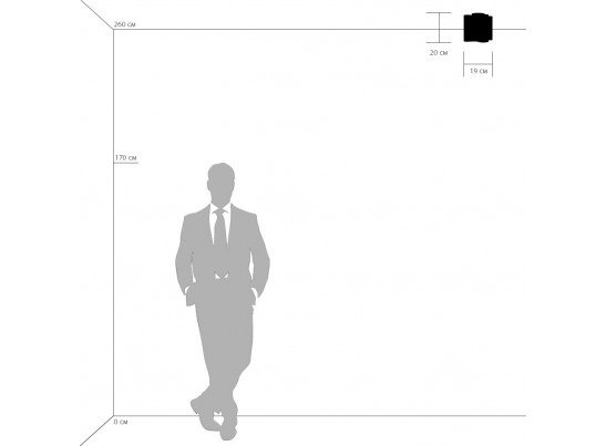 Люстра потолочная Nubi legno Lightstar 802015 в Ростове-на-Дону