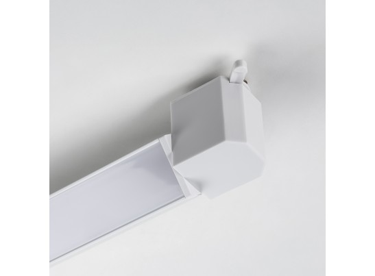 в Ростове-на-Дону