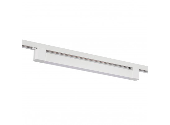 в Ростове-на-Дону