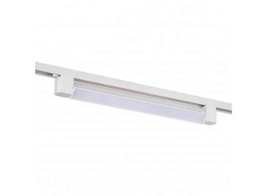 в Ростове-на-Дону