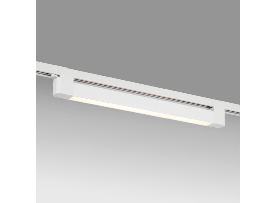 в Ростове-на-Дону