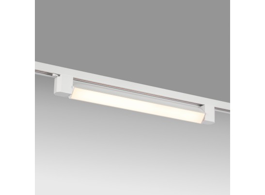 в Ростове-на-Дону