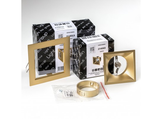 Комплект со светильником Domino Lightstar D51303GMOD в Ростове-на-Дону